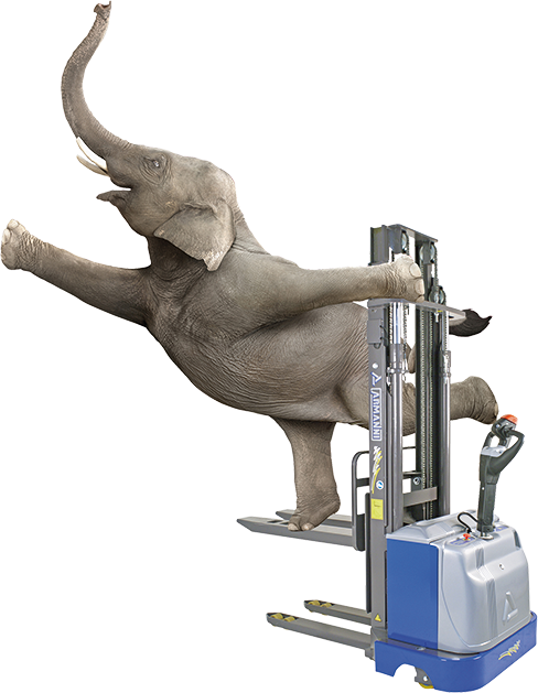 elefant